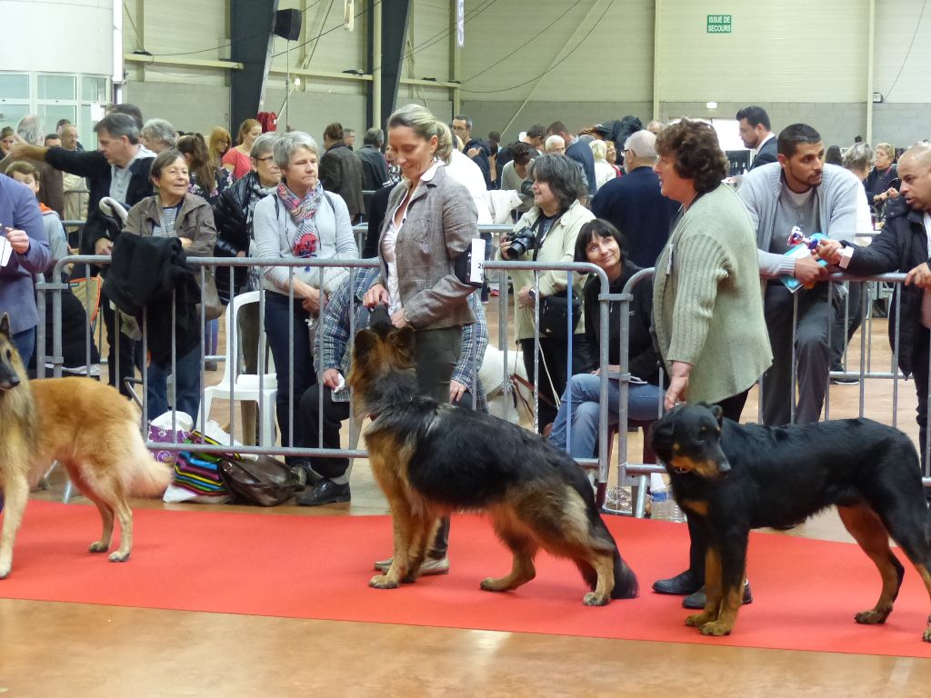 Joyce en exposition